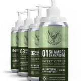 Sweet Citrus All-Natural Starter Kit